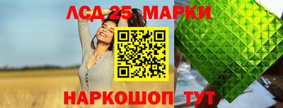 индика Можга