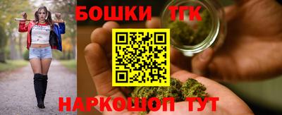 индика Можга