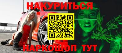 индика Можга