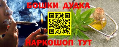 индика Можга