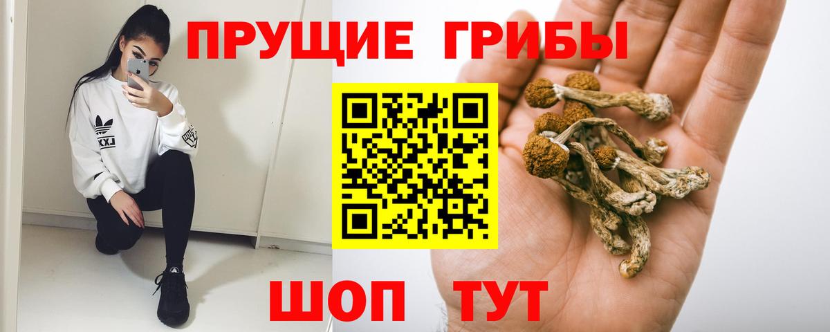 Галлюциногенные грибы прущие грибы Севастополь